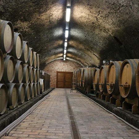 Gyulakeszi Villa Tolnay Vendeghaz المظهر الخارجي الصورة