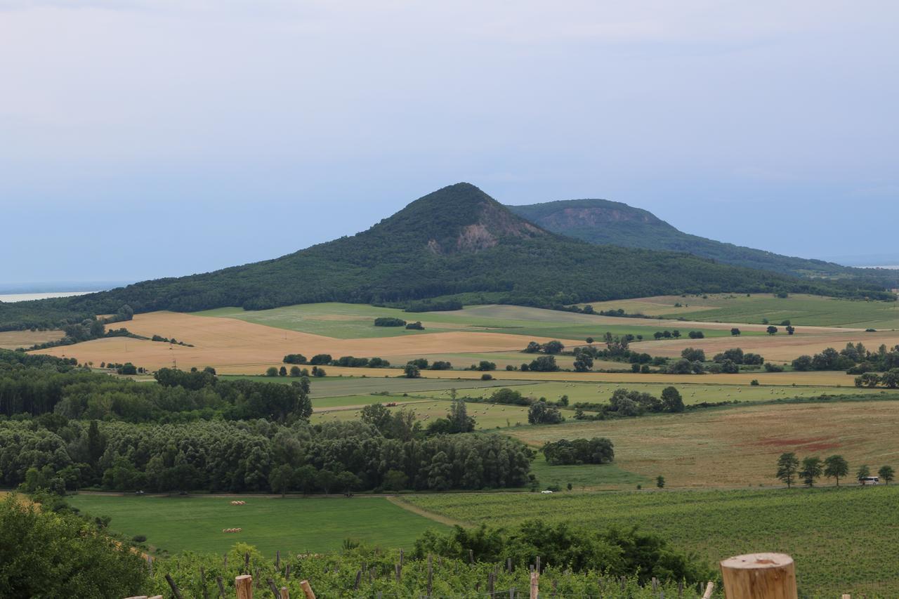 Gyulakeszi Villa Tolnay Vendeghaz المظهر الخارجي الصورة
