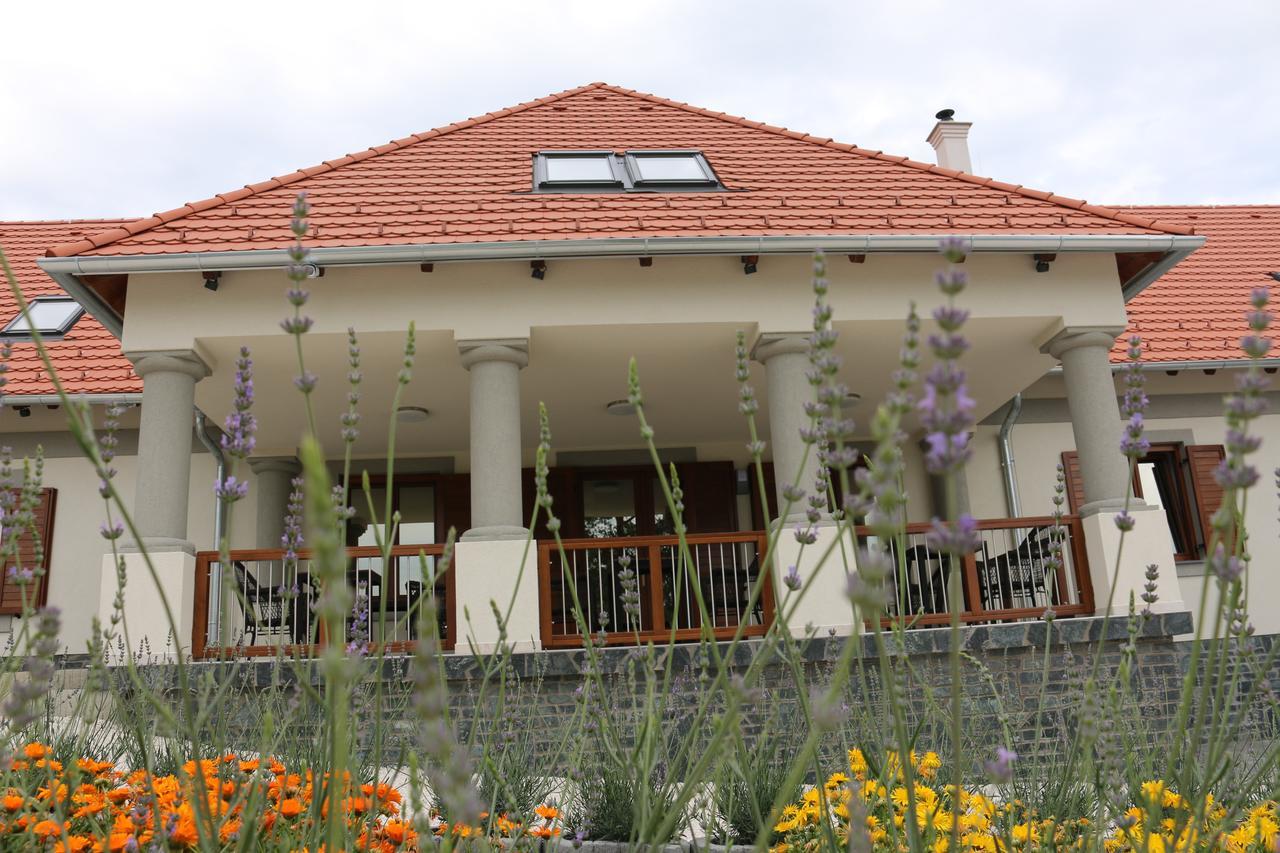 Gyulakeszi Villa Tolnay Vendeghaz المظهر الخارجي الصورة